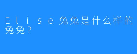 Elise兔兔是什么样的兔兔？