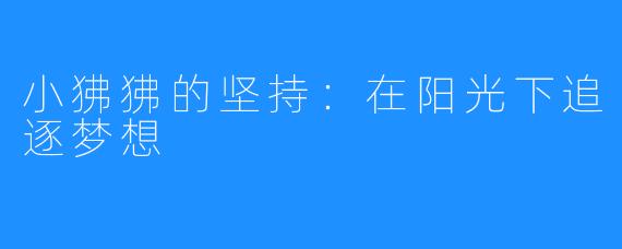 小狒狒的坚持：在阳光下追逐梦想