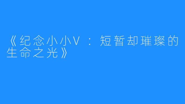 《纪念小小V:短暂却璀璨的生命之光》