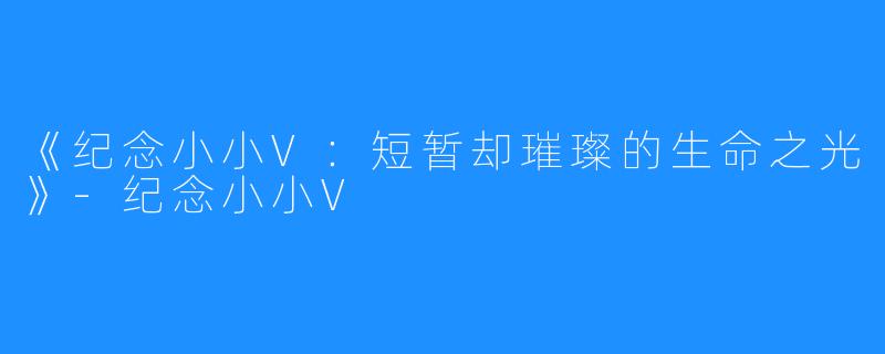 《纪念小小V:短暂却璀璨的生命之光》-纪念小小V