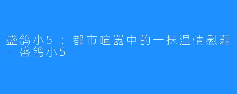 盛鸽小5:都市喧嚣中的一抹温情慰藉-盛鸽小5