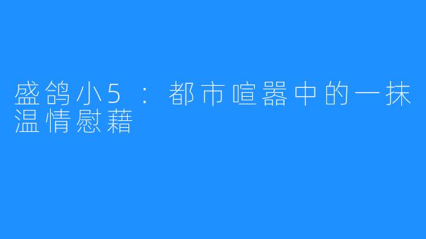 盛鸽小5:都市喧嚣中的一抹温情慰藉
