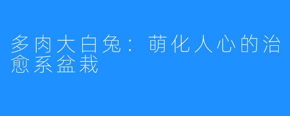 多肉大白兔：萌化人心的治愈系盆栽