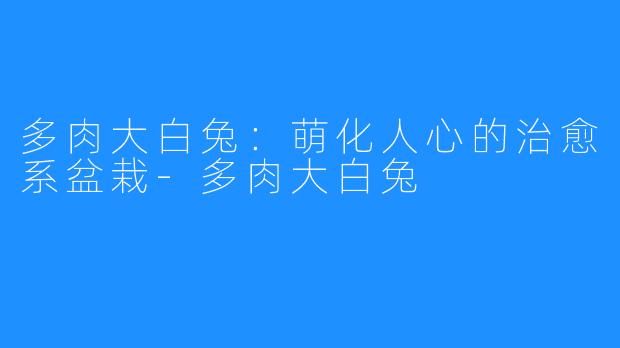 多肉大白兔：萌化人心的治愈系盆栽-多肉大白兔