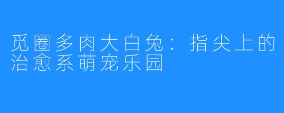 觅圈多肉大白兔:指尖上的治愈系萌宠乐园