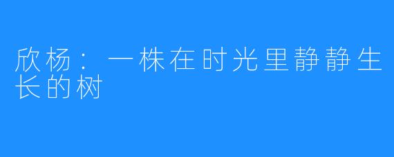 欣杨：一株在时光里静静生长的树