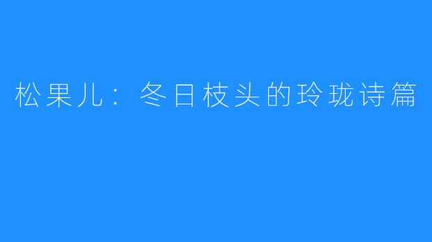 松果儿：冬日枝头的玲珑诗篇