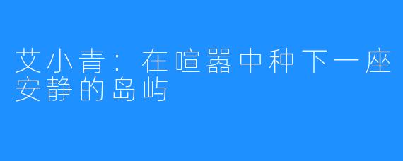 艾小青：在喧嚣中种下一座安静的岛屿