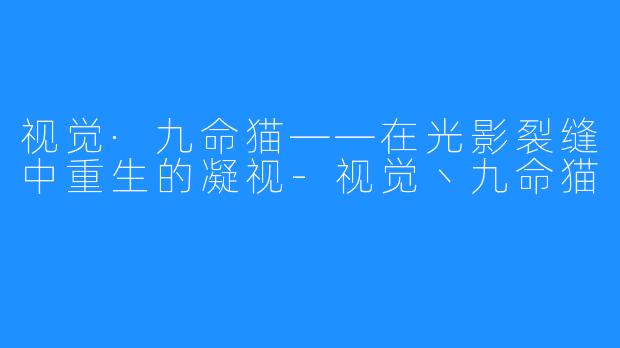 视觉·九命猫——在光影裂缝中重生的凝视-视觉丶九命猫