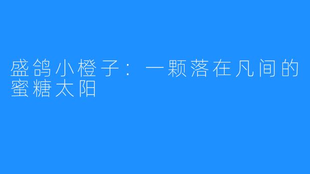 盛鸽小橙子：一颗落在凡间的蜜糖太阳