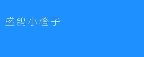 盛鸽小橙子